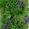 20" x 40" Borneo Jungle Artificial Living Wall Panel